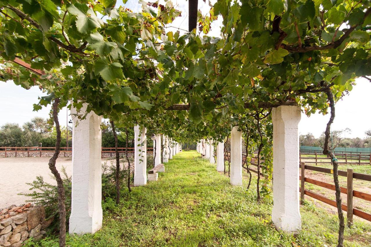 Tenuta Aphrodite Racale Εξωτερικό φωτογραφία